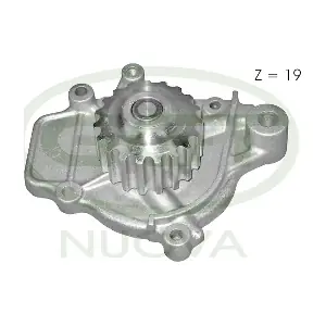 PA10584 GGT
