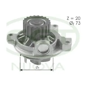 GGT PA12024