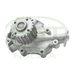 PA12557 GGT