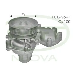PA10748 GGT