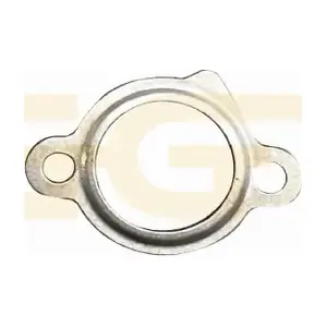 JUKD021 GGT