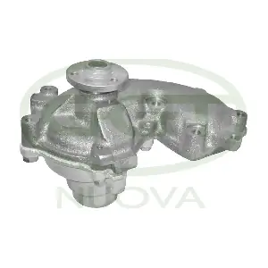 PA10041 GGT