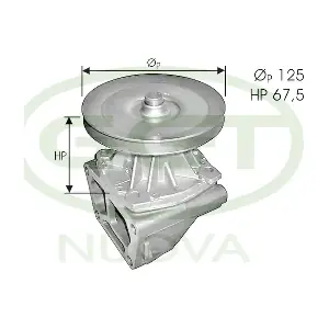 GGT PA10503