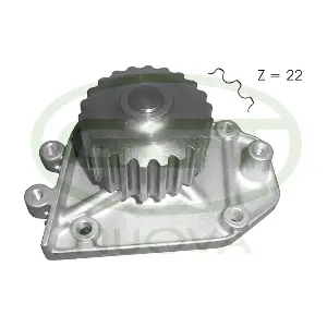 PA12615 GGT