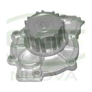 PA10072 GGT