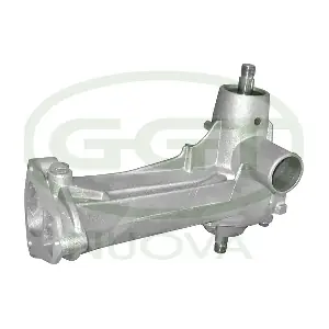 GGT PA00166