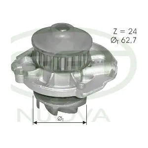 GGT PA11277