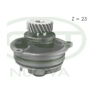PA10700 GGT
