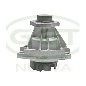 GGT PA11152