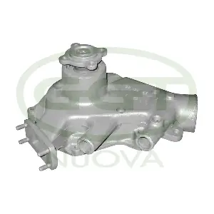 GGT PA15006