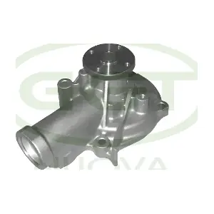 PA12528 GGT