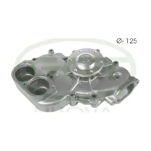 PA10606 GGT