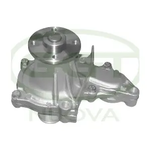 PA11165 GGT