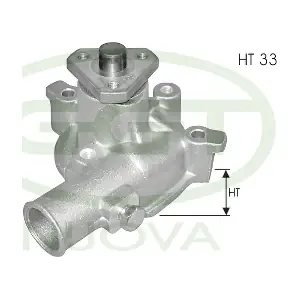 PA10135 GGT