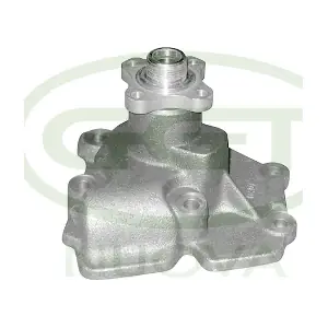 GGT PA00731