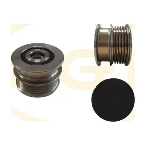ARL237 GGT
