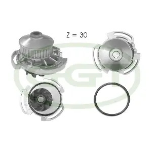 GGT PA10592