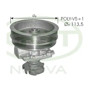 GGT PA10672