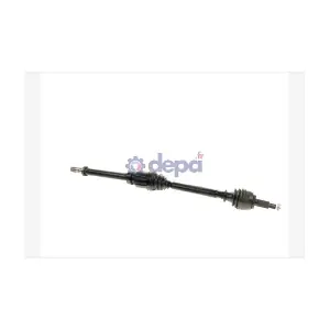 3106900 DEPA