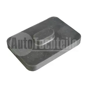 100 3196 AutoTechteile