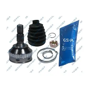 810020 GSP