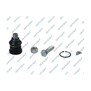 GSP S080689