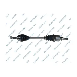 GSP 250405