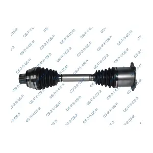GSP 203291