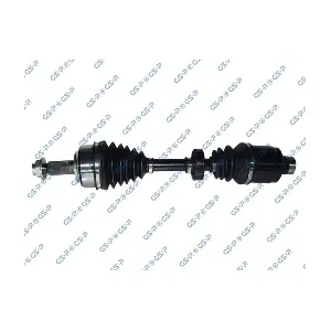 GSP 223189