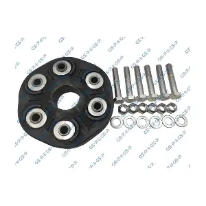 530160S GSP