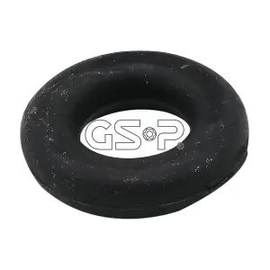 GSP 510171