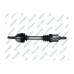 GSP 210207