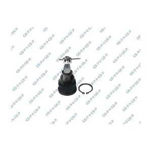 S081071 GSP