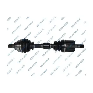 GSP 262060