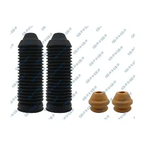 5402421PK GSP