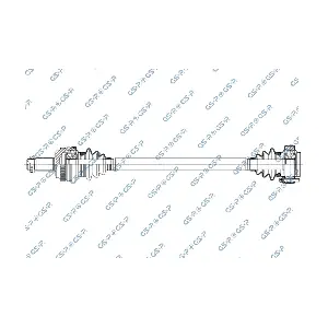 GSP 205093OL