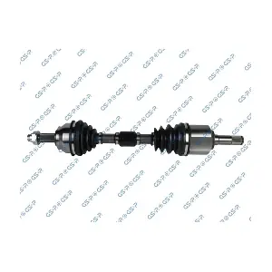 217150 GSP