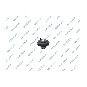 510966 GSP