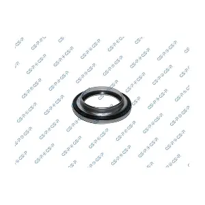 GSP 510769