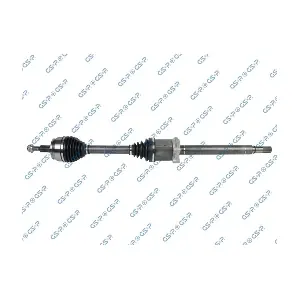 GSP 203496
