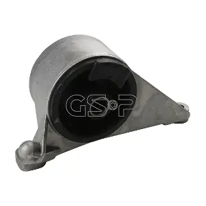 519253 GSP