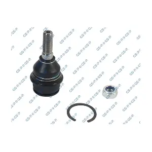 GSP S080262