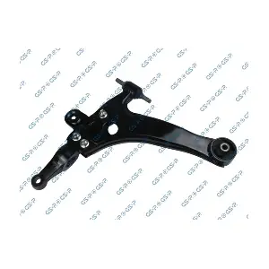 GSP S060541