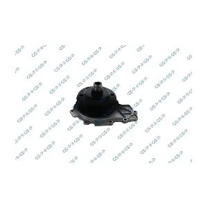 WP902253 GSP