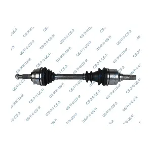 GSP 250496