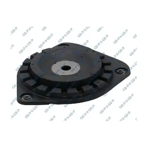 GSP 513970
