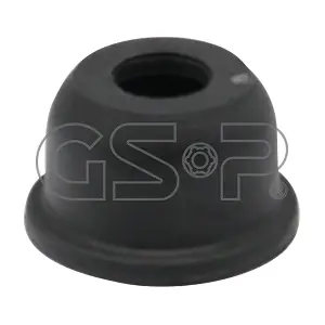 540137 GSP