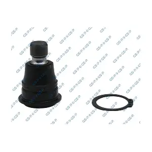 GSP S080979