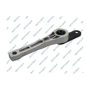519050 GSP