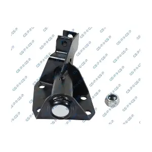 S010020 GSP